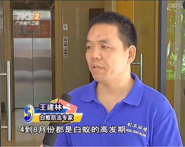 深圳杀虫公司