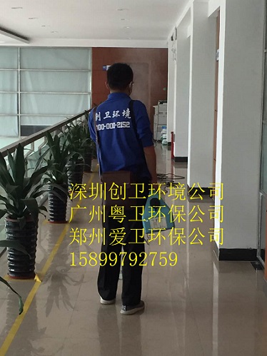 深圳灭跳蚤公司