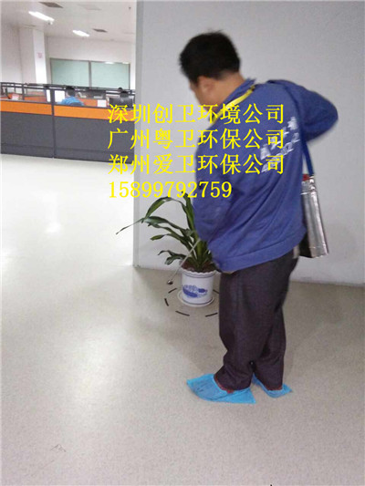 深圳杀跳蚤公司
