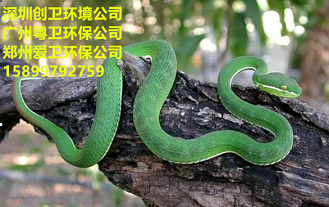 深圳驱蛇公司