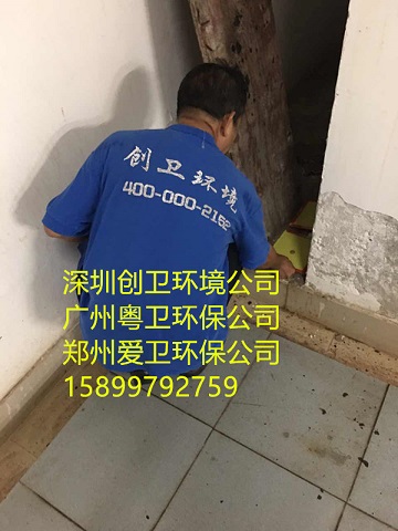深圳灭鼠公司