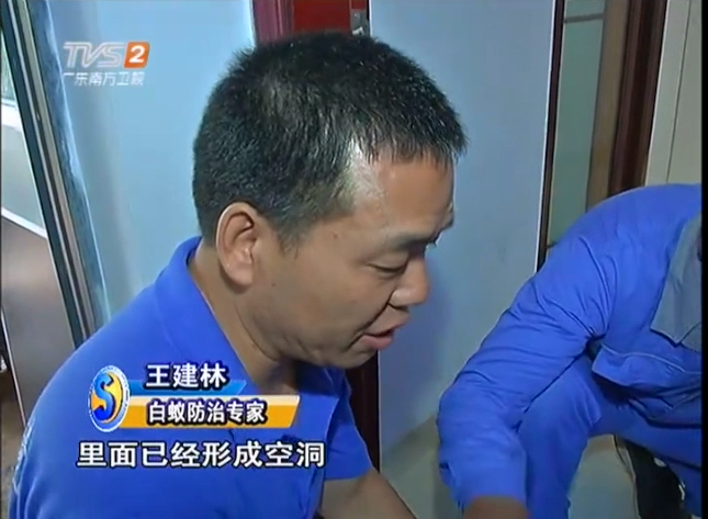 深圳灭鼠公司
