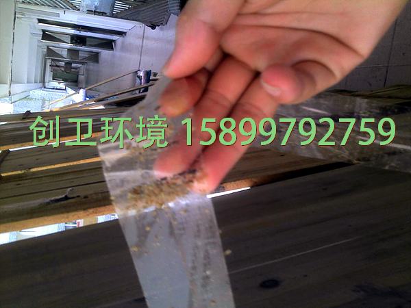 深圳除臭虫公司