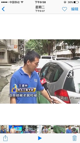 深圳白蚁防治公司对于白蚁的检查和灭治