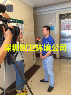 深圳白蚁防治公司对于白蚁的检查和灭治