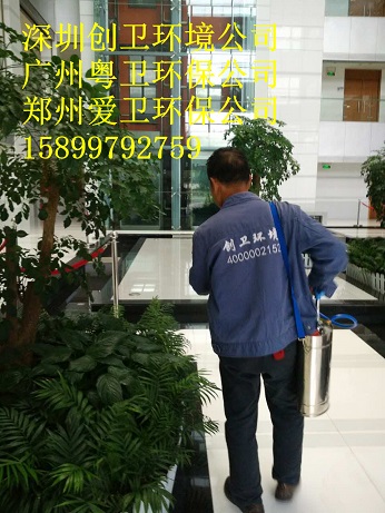 深圳杀蚊子公司