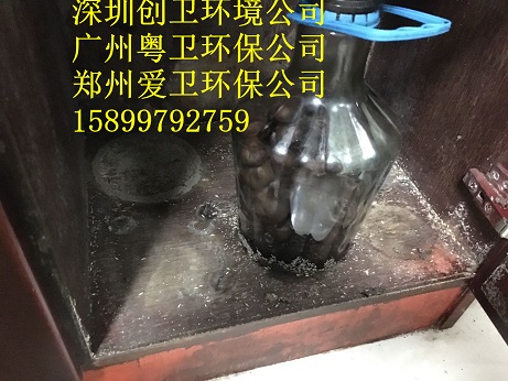 深圳消杀白蚁公司