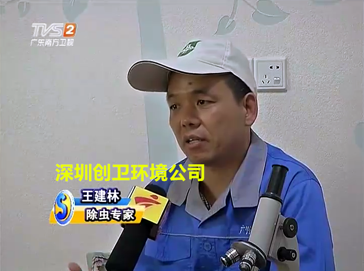 深圳除螨虫公司