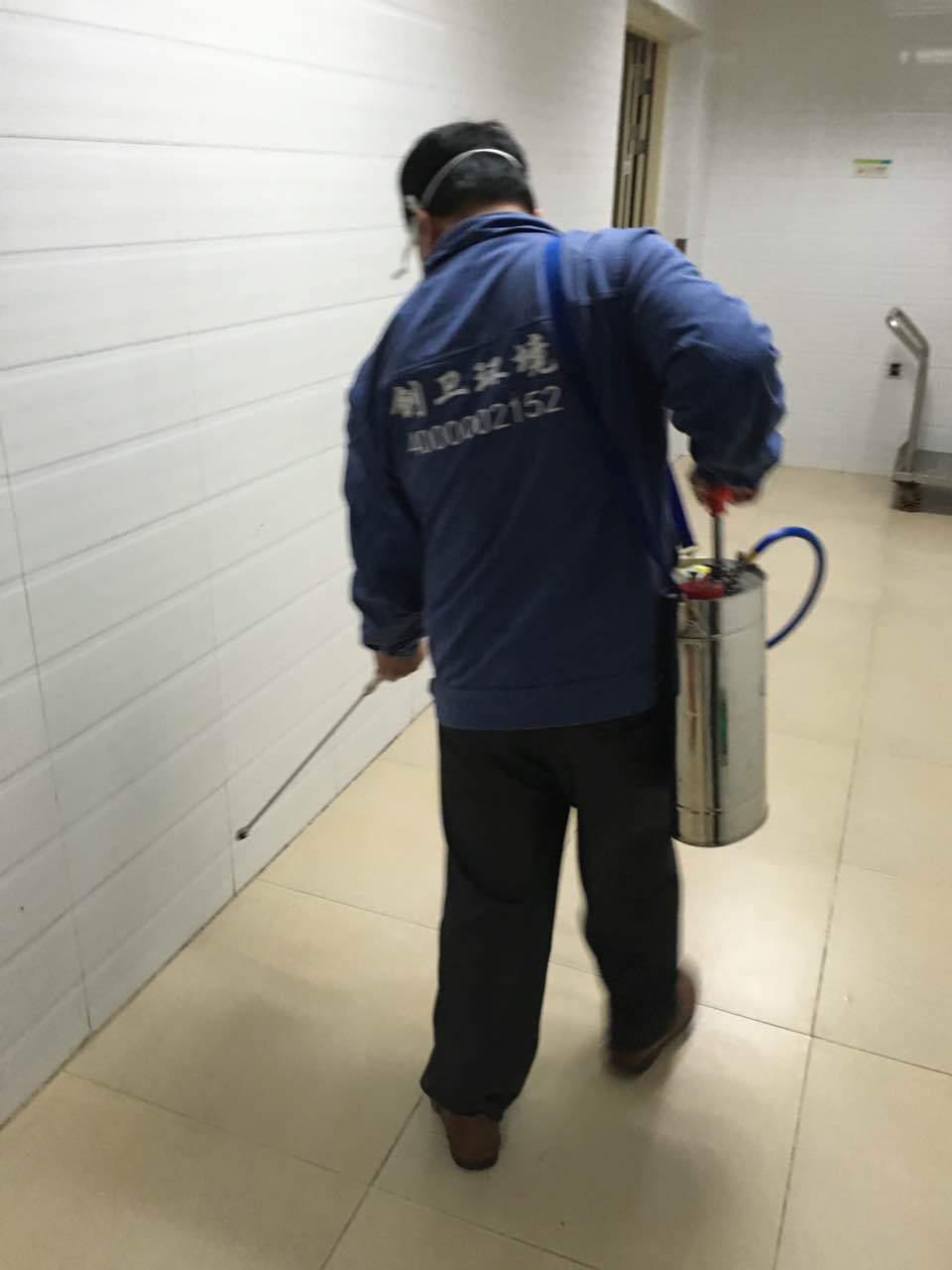 深圳杀跳蚤