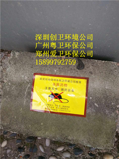深圳灭鼠公司