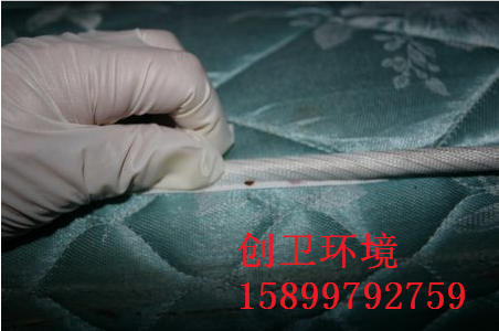 深圳杀臭虫