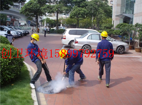 深圳灭蚊虫公司