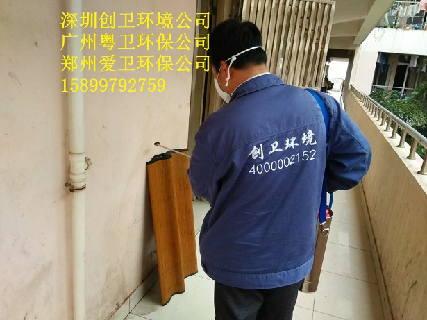 深圳灭臭虫公司