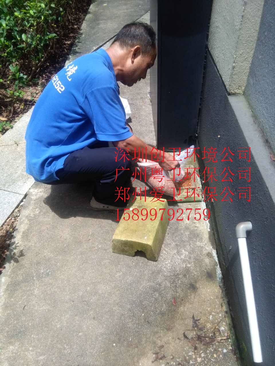 深圳灭鼠公司
