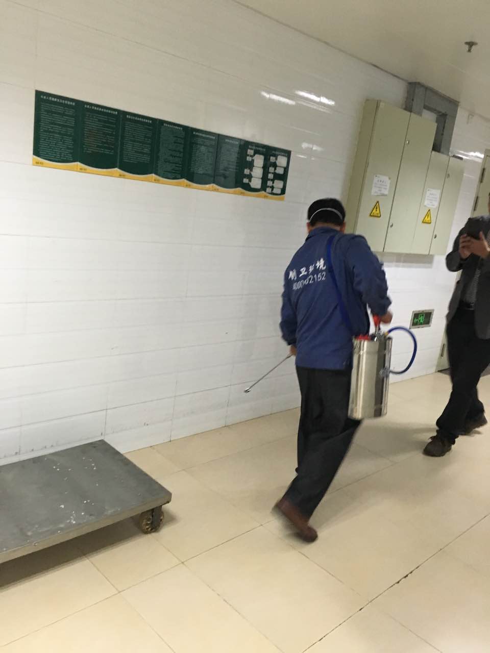 深圳杀虫灭鼠公司