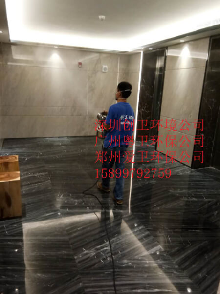 深圳灭跳蚤公司对于跳蚤的消杀方法 公司新闻