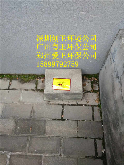 深圳灭鼠公司对于老鼠的防制