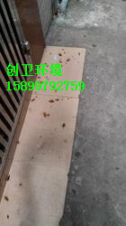 深圳灭蟑螂公司科学认识其习性