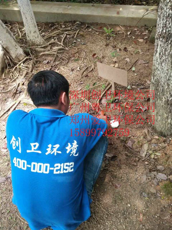深圳灭白蚁公司园区树木白蚁防治方法