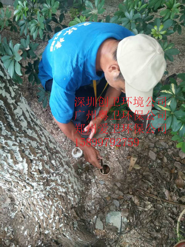 深圳防白蚁公司对于白蚁的防制方法