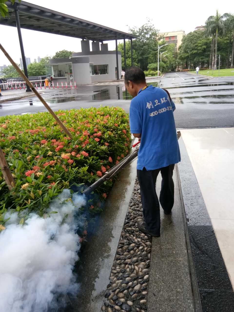 深圳灭鼠公司如何规范除虫灭鼠工作中的言行 公司新闻