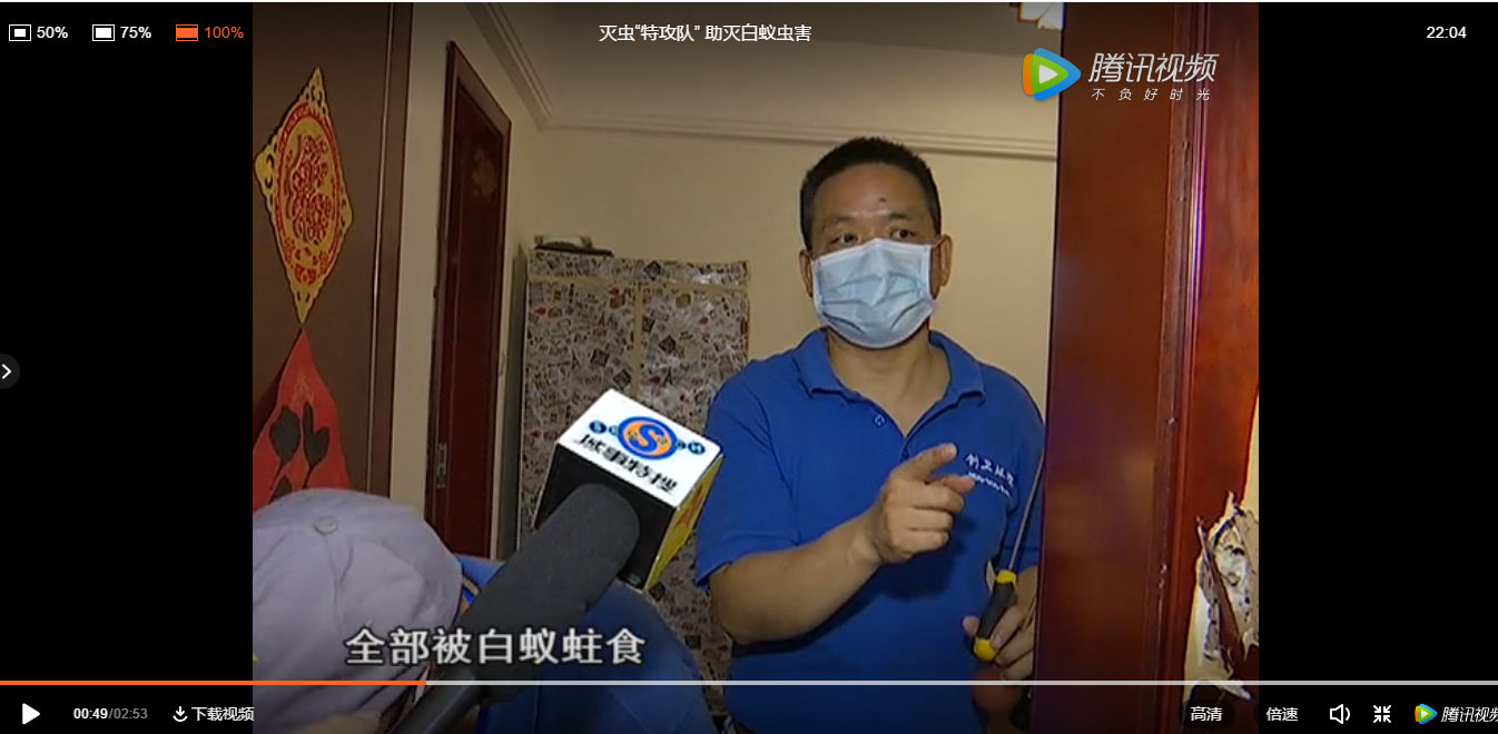 深圳消杀公司科学认识白蚁 公司动态
