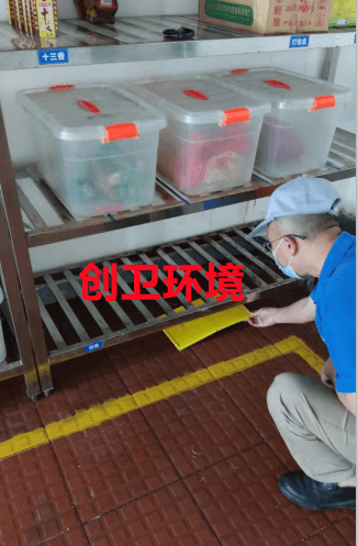 深圳灭鼠的公司专业灭老鼠 深圳灭鼠公司
