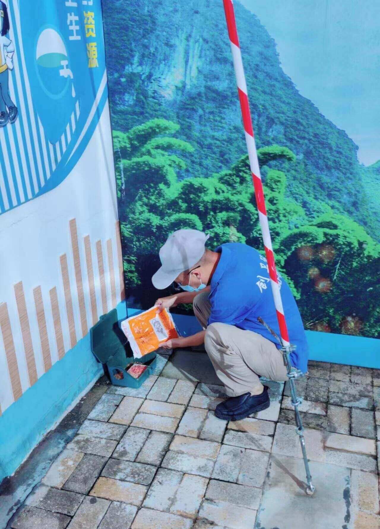 灭鼠专家告诉你的灭鼠小常识