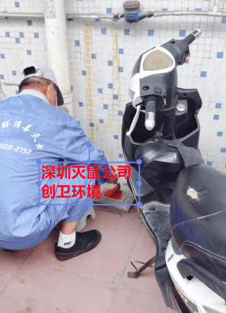 深圳灭鼠公司 深圳南山灭鼠公司哪家好 宝安灭鼠公司 龙岗灭鼠公司