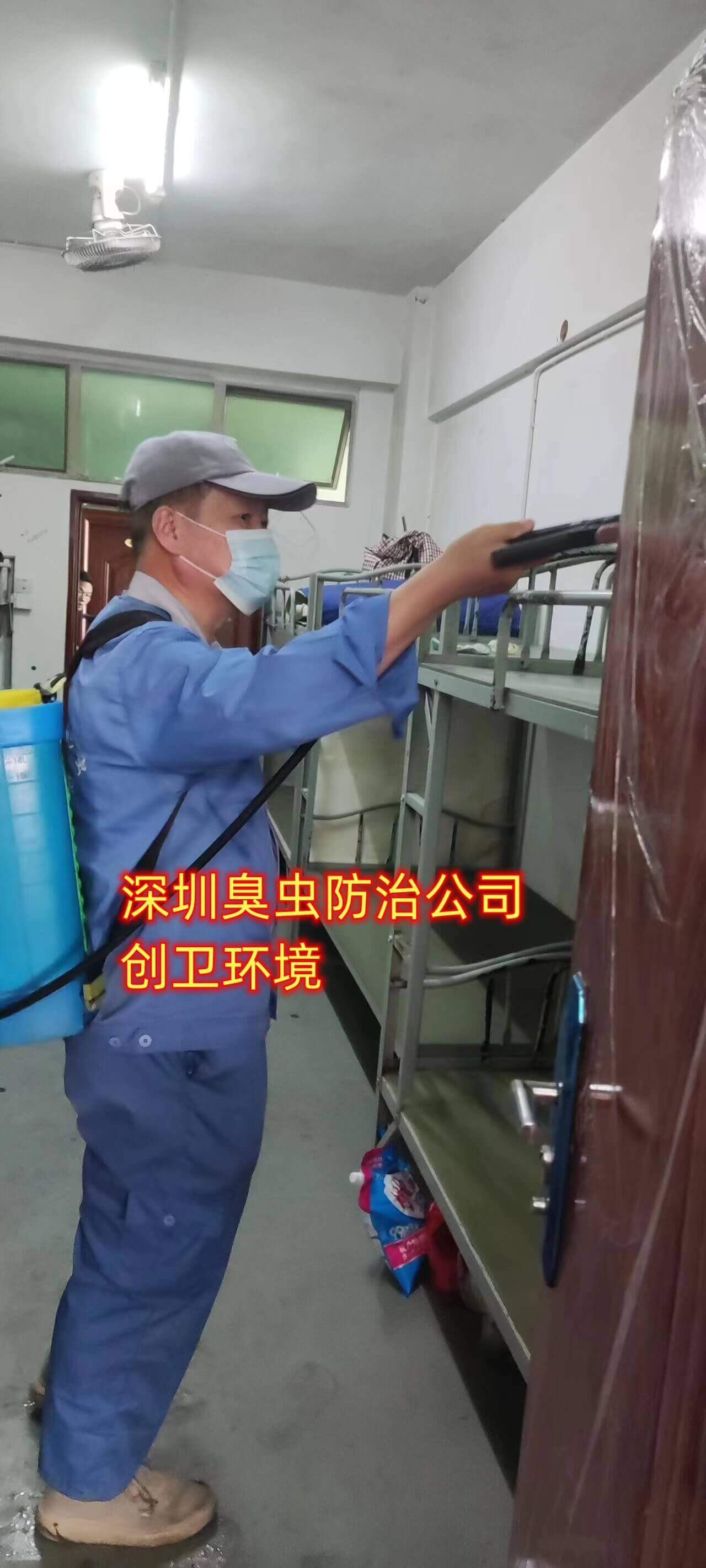 深圳臭虫防治 深圳臭虫防治公司 深圳除虫灭鼠公司