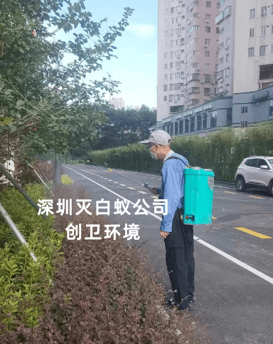 深圳灭白蚁公司 南山灭白蚁公司 福田灭白蚁公司 宝安白蚁防治公司 龙岗防白蚁公司