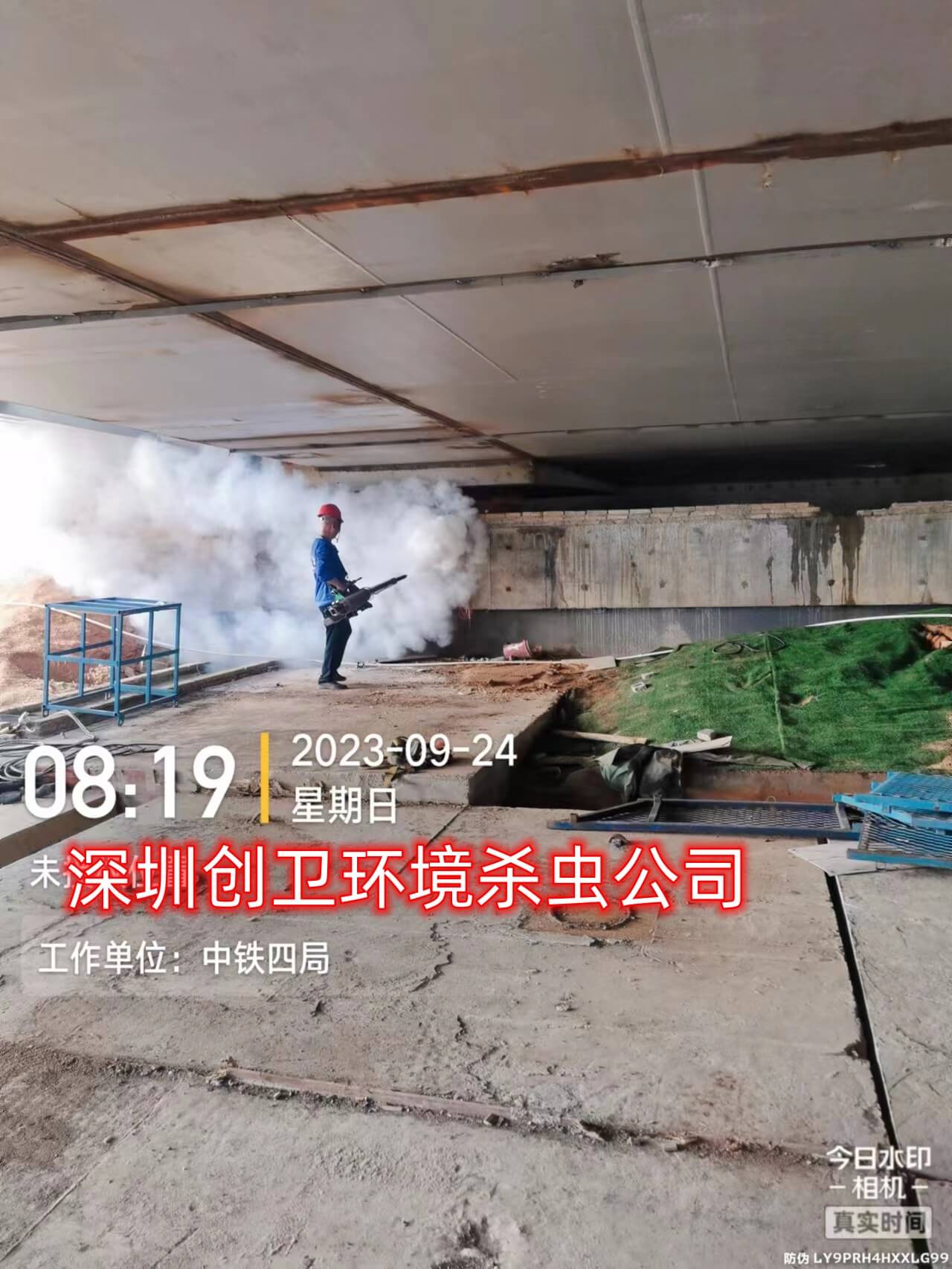 深圳杀虫专业公司创卫环境对于消杀价格的定价