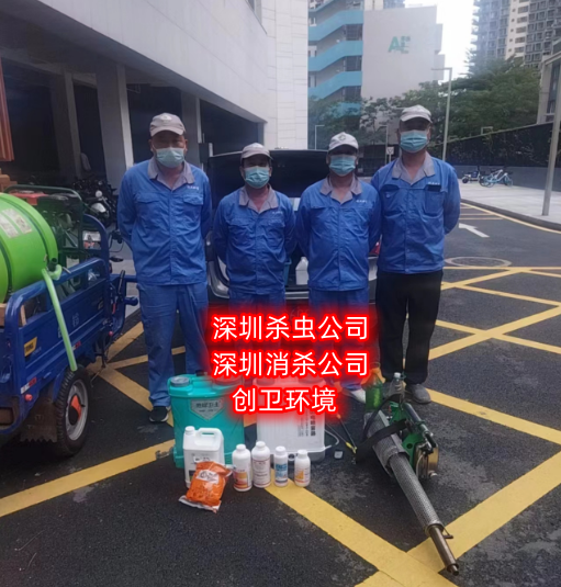 深圳杀虫公司 深圳消杀公司是怎么样灭白蚁的 公司新闻