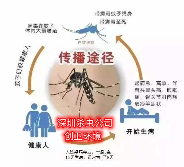 深圳杀虫 关于深圳杀虫公司对商业虫害危害的认识 深圳消杀公司