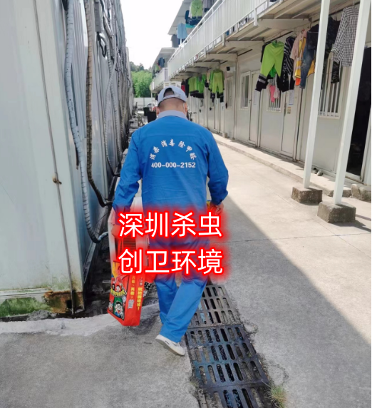 深圳消杀公司是怎么样灭臭虫的 深圳杀臭虫公司 深圳灭臭虫公司 深圳杀虫