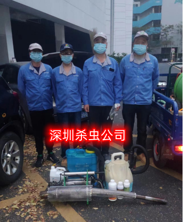 深圳杀臭虫公司 深圳灭臭虫 深圳杀虫公司怎么样消杀泛滥的臭虫 公司新闻