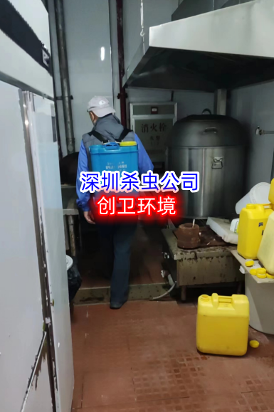 深圳杀虫公司深圳消杀公司关于酒店虫害的防治
