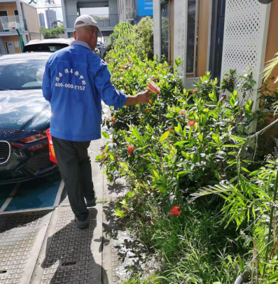 深圳灭蚊虫 深圳灭蚊虫公司 深圳消杀蚊虫公司