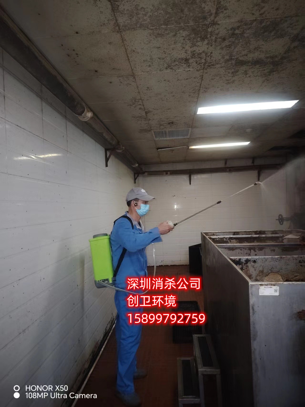 深圳消杀公司是怎么样灭跳蚤的