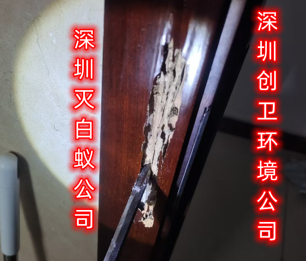 深圳灭白蚁公司科学认识白蚁带来的危害