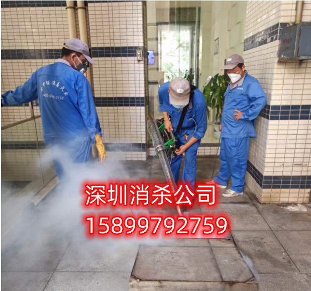 深圳消杀公司落实爱卫办检查的步骤