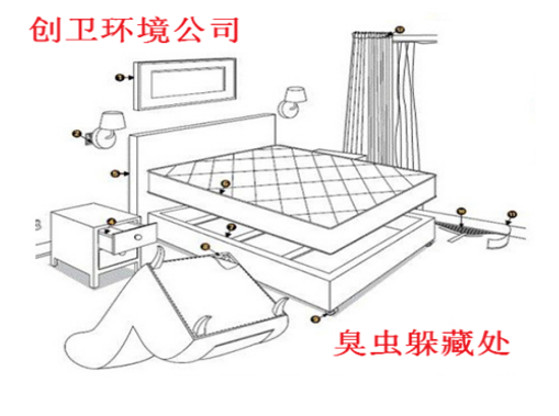 深圳灭臭虫公司怎么样杀臭虫的 灭臭虫